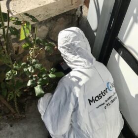 3123179b-f4cc-491c-9476-b64d296d250c