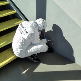 Derattizzazione Topi