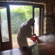 d0f8ad95-d704-4c2a-adc9-e3ff2b4cff5b d0f8ad95-d704-4c2a-adc9-e3ff2b4cff5b